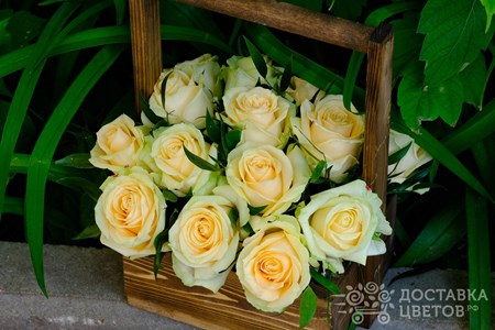 Композиция из 15 персиковых роз в ящике "Дельта"